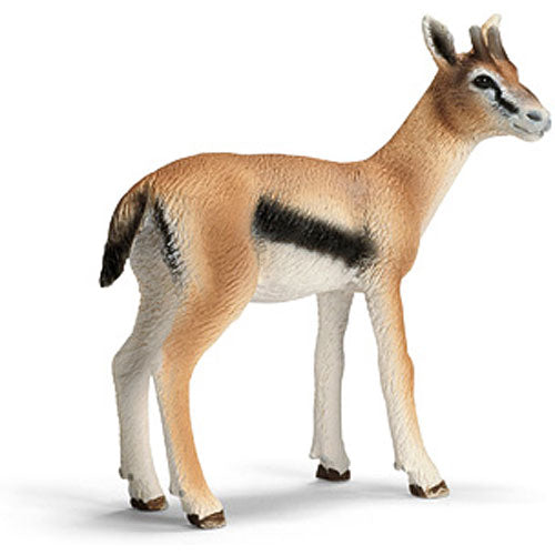 Gazelle