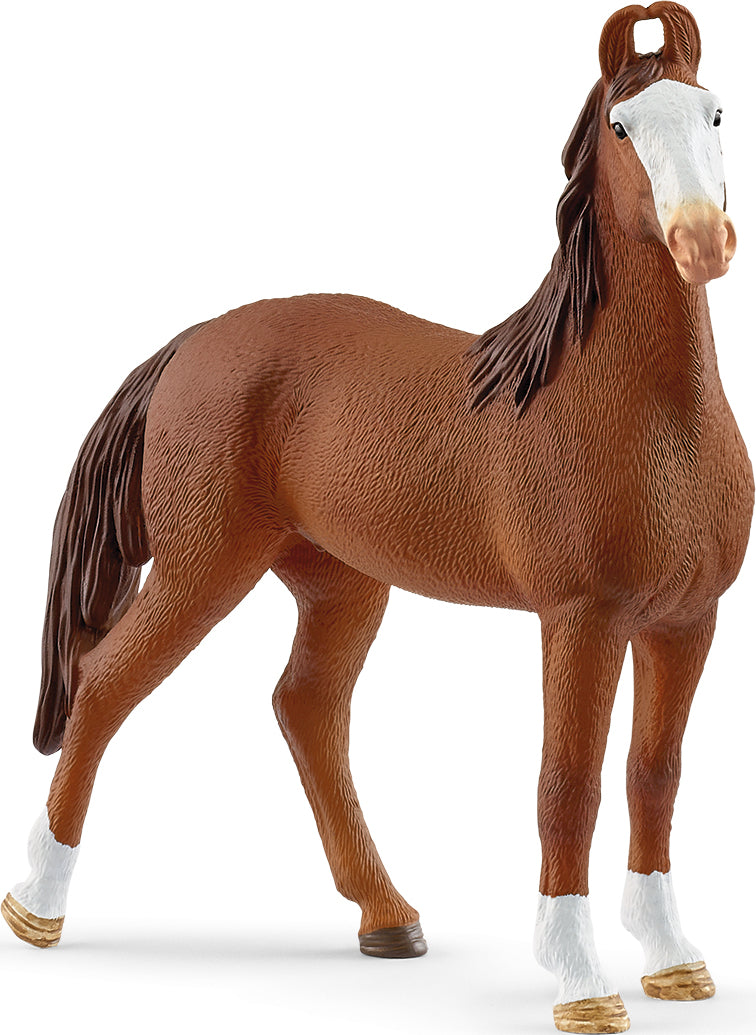 schleich HORSE CLUB Marwari Mare