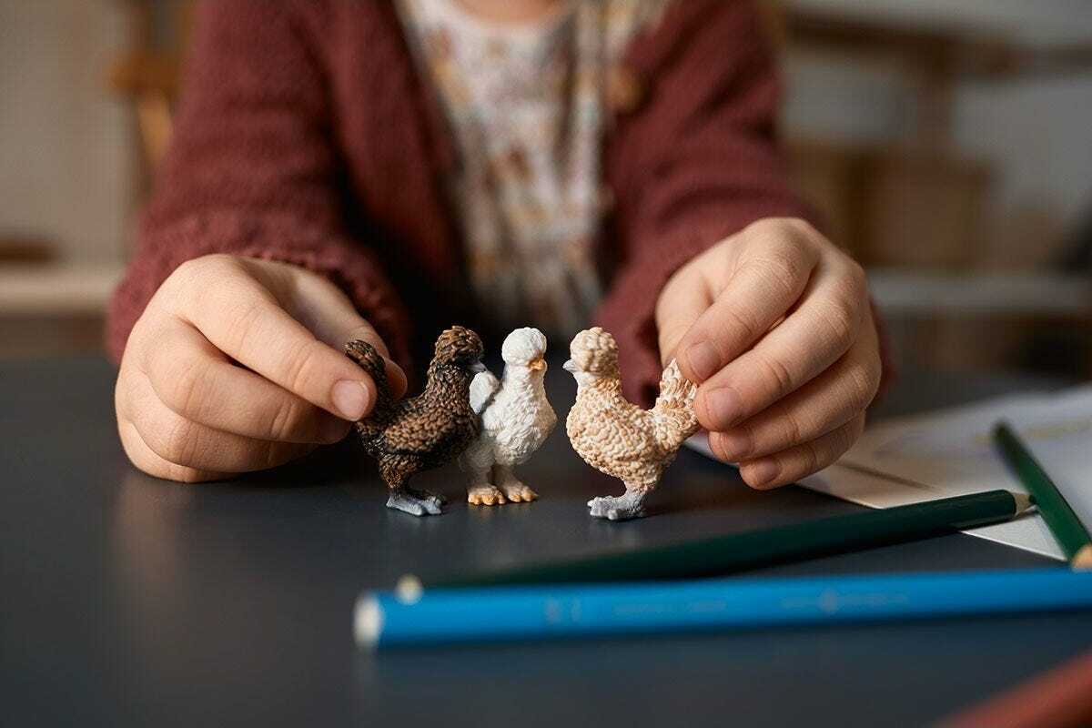 Chicken Friends 3pk