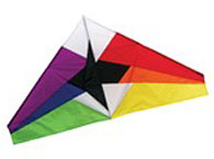 55" Rainbow Delta