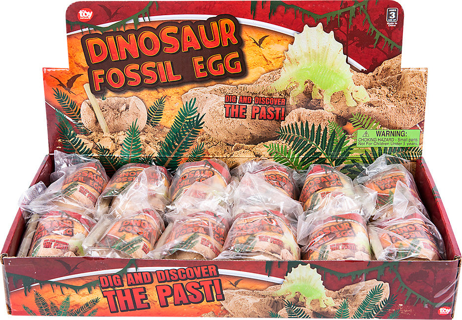 Dinosaur Fossil Egg